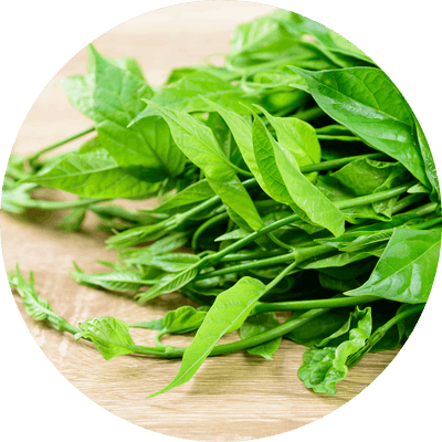 <strong>Gymnema Sylvestre</strong>